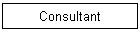 Consultant