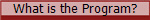 What is the Program?